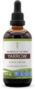 Secretos del extracto líquido de Tribe Yarrow Alcohol, Yarrow (Achillea millefolium) Leaf seco y Flor Tintura Suplemento (4 FL OZ)