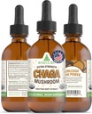 RawGuru Chaga Mushroom Supplement - Vegan Chaga Mushroom Extract with Trace Minerals - Nano-Processed Immunity Boost " Cognitive Supplement Tincture - 60 Servings of Vegan Drops per 60 ml, Pack of 1
