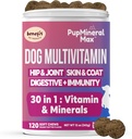 Dog Multivitamin Soft Chews - 120 Count - Dog Joint Supplement, Digestive, Immune, Skin, Coat - Combined Advanced Vitamins for Dogs, All Dog Ages - Made in USA