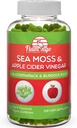 Mar Moss Gummies con vinagre de la sidra de Apple, vinagre de la vejiga y raíz de Burdock Organic- Sea Moss Gummies para adultos y niños- vegano, orgánico, irlandés Seamoss y ACV – 70 Ct