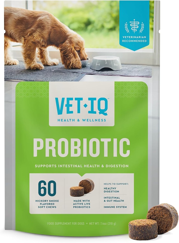 VetIQ Probiotic Supplement for Dogs, Digestive Support for Dogs, Nourishes Gut Bacterias and Supports Bowel Function, Hickory Smoke Flavor, Made in The USA, 60 Count
