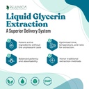 NerveFactor - Advanced Nerve Support Supplement - Liquid Delivery for Better Absorption - Acetyl-L-Carnitine, Alpha Lipoic Acid, Vitamina B12, Folic Acid, White Willow Bark &amp; More!