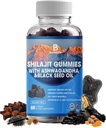 Shilajit Gummies, Shilajit, Resin, con 85+ Trace Minerals, Fulvic Acid, Fitonutrientes, Vitamina C, D, B12, Ashwagandha, Chaga Mushroom, Turmeric, for Energy, Immune Support