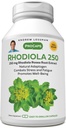 ANDREW LESSMAN Rhodiola Rosea 250mg - 30 Capsules - Standardized Extract. Adaptógeno natural. Combate el estrés y la fatiga. Promueve el bienestar saludable. Sin aditivos. Cápsulas pequeñas fáciles de absorber