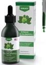 Chlorophyll Liquid Drops - 100% Natural Energy Booster and Immune Support - Interna Deodorant y Detox - Alivio de la enfermedad de Altitud - Absorción rápida, Vegan & No GMO - 120 Servimientos (Pack of 1)
