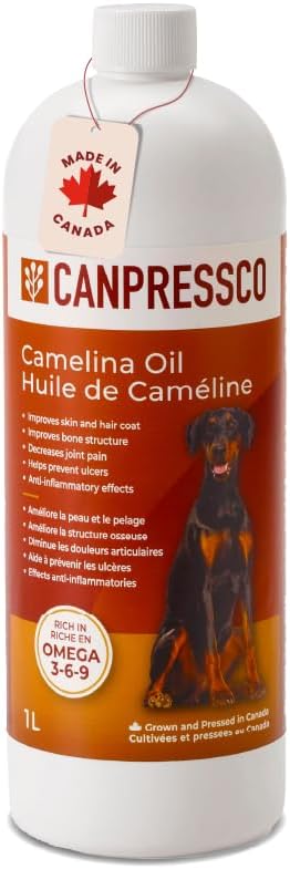 Aceite de Camelina 500 ml Botella ANTE Omega 3 Suplemento petrolífero para Equino, Canino y Feline Conjunto, Carne y Salud de la Esquí