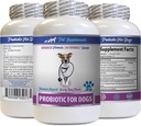 Productos para perros de mal aliento - PROBIOTICS para perros - Gut saludable - Parar la diarrea de gas y mal aliento - picante - Probióticos para perros Chewable Buddy - 1 Botella (60 Treats)