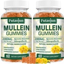 Mullein Gummies for Lungs  2000mg Mullein Leaf Extract for Respiratory &amp; Immune Support ← Pure Vegetarian Mullein Gummies Herbal ← Soft and Non Sticky ← Mango Flavor ← 2 Pack