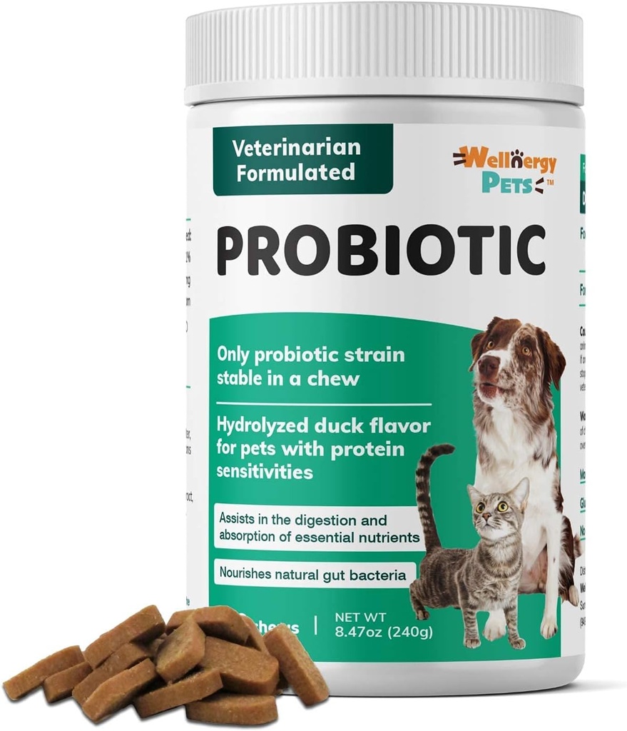 Wellnergy Daily Probiotic " Prebiotics Soft Chew for Dogs " Cats - Asistencia Digestiva para la diarrea, estreñimiento, estomacas de aparición, indigestión " Gas - Ayuda Digestión, Esquía de alergia " Salud inmune 160ct
