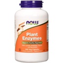 AHORA Alimentos Suplementos, Enzimas vegetales con Lactasa, Protease, Papain y Bromelain, 240 cápsulas de Veg
