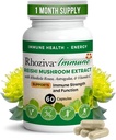 Soporte inmunitario, Booster de energía con vitamina C, D3 y Zinc Suplemento, Rhodiola Rosea, Reishi Mushroom Extract, Astragalus, Wellness general y Habit diario - 60 cápsulas