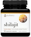 Teoría Shilajit - 500 mg Shilajit Capsules - Suplemento energético - Shilajit apoya la resistencia - puro Himalayan Shilajit - Gluten, Dairy & Soy Gratis - 60 cápsulas vegetarianas