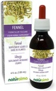Naturalma Fennel (Foeniculum vulgare) Fruta Alcohol-Free Tintura - 4 fl oz Liquid Extract in Drops - Herbal Supplement - Vegan