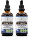 Secrets of the Tribe Chaga Tincture Alcohol-Free Extract, Wildcrafted Chaga (Inonotus obliquus) Dried Whole Mushroom (2x4 FL OZ)