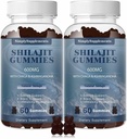Shilajit Gummies 600mg, Shilajit Supplement with Trace Minerals & Fulvic Acid for Energy and Immunity Support, Organic Shilajit Resin for Men & Women, Vegan, 60 Gummies (2 Pack)