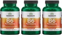 Swanson B6 Pyridoxina - Suplemento de vitaminas Promoción de la salud cardiovascular y el metabolismo energético - Formula natural Promoción de la Wellness general - (250 cápsulas, 100 mg cada uno) 3 Pack