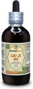 Liu Ji Nu, Artemesia (Artemisia Anomala) Tincture, Dried Herb Liquid Extract (Marca: HerbalTerra, Proudly Made in USA) 4 fl.oz (120 ml)