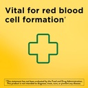 Nature Made Iron 65 mg (325 mg Sulfato ferroso) Tabletas, Suplemento dietético para el apoyo a las células rojas de sangre, 180 Tabletas, 180 Day Supply (Pack of 2)