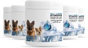 Suplemento Natural Perro con 18 Vitaminas, Minerales & Electrolitos. Mezcla con agua o comida. (Chicken 5 Pack)