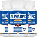 15-in-1 Suplemento GPC alfa con fosfatidilserina, Uridine, L-Theanine, Salón Mane de León, 180 cápsulas