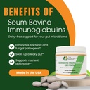 60 Servings – Contiene IgG Ingrediente Patented Immunolin® – El mismo Ingrediente usado en las Fórmulas de OSE líderes – Inmunoglobulina de Bovino Serum (SBI) Polvo – 150g IgG puro sin aditivos