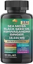Muse Sea Moss, Black Seed Oil, Ashwagandha, Ginger, Shilajit, Elderberry, Chlorophyll, Turmeric, Bladderwrack, Advanced Strength Gummies, 19,445mg, All-in-1 Bundle, 60 Conde, Made in USA