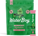 Waterboy Workout Hydration ← 2,960mg Sugar Free Electrolyte Powder Packets ← L-Glutamine + Vitaminas ← No Sugar, All Natural, Gluten Free ← 15 Bebidas Stick Mixes (Strawberry Lemonade)