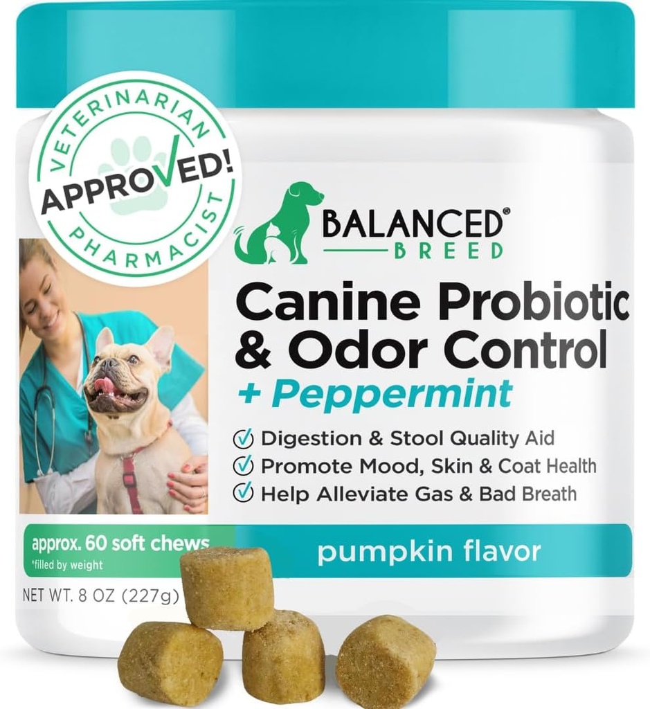 Probióticos del perro criado equilibrados Salud digestiva Enzimas hechos en EE.UU. Vet-Pharmacist Aprobado Fortiflora Probióticos Perros Anti levadura Suplementos Constipación Alivio de la levadura del perro picazón de la piel Orejas no GMO