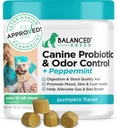 Probióticos del perro criado equilibrados Salud digestiva Enzimas hechos en EE.UU. Vet-Pharmacist Aprobado Fortiflora Probióticos Perros Anti levadura Suplementos Constipación Alivio de la levadura del perro picazón de la piel Orejas no GMO