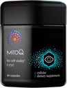 Antioxidante MitoQ +Eye Advanced CoQ10 - Contiene Mitoquinol Mesylate, Lutein, Zeaxanthin, Bilberry, Marine Bark - Soporta Salud Ocular, Filtración de Luz Azul " Vitalidad Celular (60 cápsulas)