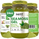 Sea Moss Gel Matcha Green Tea 24oz Wildсrafted Gold Sea Moss Gel de Santa Lucía  víspera 92 Vitaminas y Minerales viv Pure Raw+No-GMO