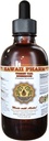 Turquía Tail Mushroom Tintura, Turquía Tail Mushroom (Trametes Versicolor) Mushroom Liquid Extract 2 oz