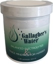 Galagher's Water Balanced Electrolytes and Trace Minerals for Horses, 1LB