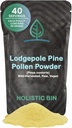 Holistic Bin Organic Pine Pollen Powder Pharmaceutical Grade, Wild Harvested, Golden Canadian Pine Pollen | Non GMO, No Additives | Pure Pollen Supplement Made from The Lodgepole Pine Tree, 20 g