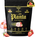 Ambrosia Planta - Premium Plant-Based Protein ¦ Vegan & Keto Friendly ¦ Gourmet Flavors with No Bloating or Stomach Upset TEN No Añadido Sugar TEN 14 Servings TEN (Strawberry Ice Cream)