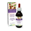 Naturalma Ashwagandha (Conania somnifera) Bota libre de alcohol Tintura - 4 fl oz Extracto líquido en gotas - Suplemento herbal - Vegan