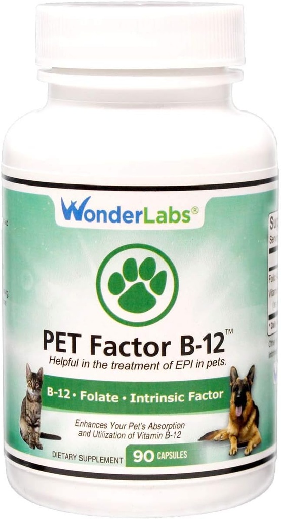 Wonder Laboratories Factor de mascotas B-12 tención Vitamina B-12 en forma de metilcobalamina Silencio Popular en Tratamiento del EPI en perros. 90 Conde