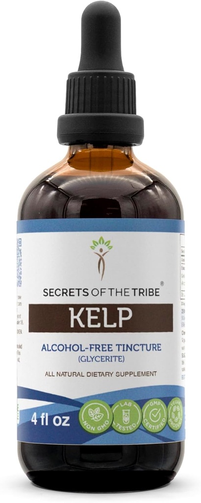 Secretos de la Tribe Kelp Tincture Extracto líquido libre de alcohol, Kelp (Ascophyllum nodosum) Planta seca (4 FL OZ)
