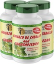 Sunshine Naturals Guisazo " Chancapiedra Herbal Blend, Natural Dietary Supplement for Wellness Support, 90 Capsules. Paquete de 3