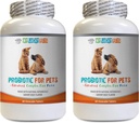 enzimas digestivas probióticas para perros - PET PROBIOTIC - DOGS AND CATS - BOOST DIGESTIVO - Obtener RID OF BAD BREATH AND STOP DIARRHEA - lactobacillus salivarius probiotic - 2 Botellas (120 Treats)