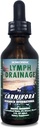 Carnivora - Lymph Drainage Drops - Stimulates and Cleanses Your Lymphatic System – Flushes Cell Waste, Boosts Energy, Combats Exhaustion. 2 Fl Oz (Pack of 1)