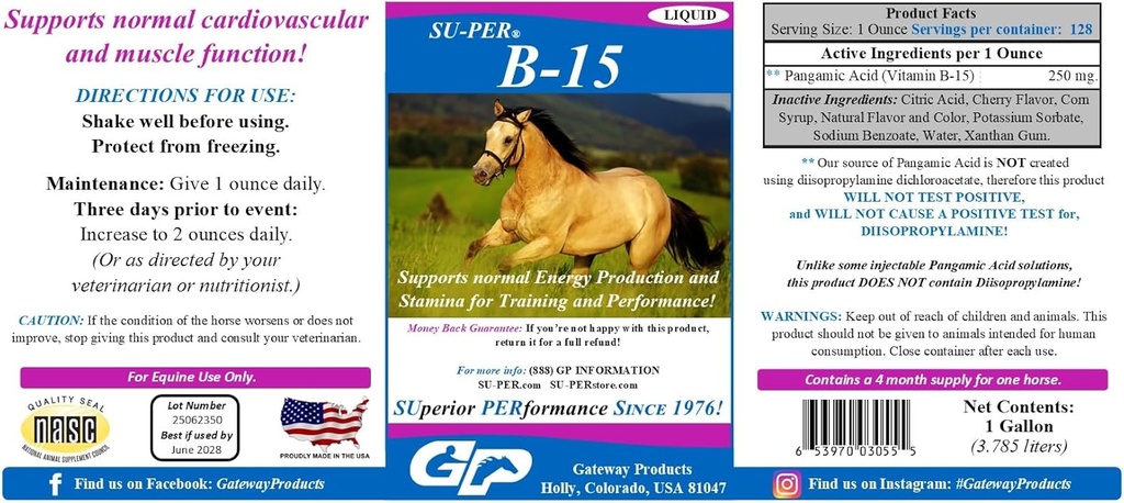 SU-PER B-15 Suplemento Vitamina para Caballos - Equina Vitamina B-15 Liquid for Performance Soporte - Soportes Normal Cardiovascular Immune & Función muscular - 1 Gallon + Bomba, 4 Month Supply