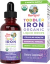 MaryRuth Organics Iron Supplement for Toddlers Silencio Liquid Iron Supplement for Children Ages 1-3 Silencio Iron Supplement for Iron Deficiency  Ferrochel ← Sugar Free ← Vegan ← Non-GMO Silencio Gluten Free ← 2 Fl Oz