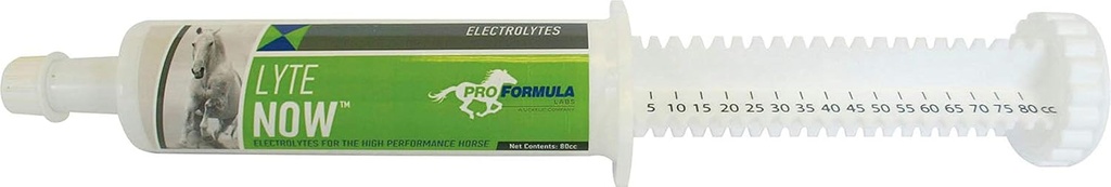 Uckele Lyte Ahora Syringe for Horses - Pasta electrolítica de espectro completo para caballos - Reposición de fluidos minerales equinos - 3 Doses - 80 CC