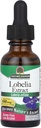 Nature?s Respuesta Lobelia Herb Lobelia Inflata - Suplemento Natural Herbal - Sin gluten Alcohol - Ideal para inmunidad Bienestar general de salud ? 690mcg (1 FL Oz)