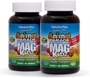 NaturesPlus Animal Parade MagKidz, Natural Cherry Flavor - 90 Animal-Shaped, Chewable Tablets - Pack of 2 - Bone &amp; Muscle Health Support - Non-GMO, Vegan, Gluten Free, Sugar Free - 90 Total Servings