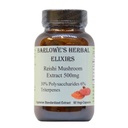 Barlowe's Herbal Elixirs Reishi Mushroom Extract Supplement ← Red Reishi Silencio Ganoderma Lucidum ←30% Polysaccharides soportar 6% Triterpenes  500mg ← 60 Veggie Capsules