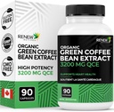 Renew Actives High Potency Green Coffee Bean Extract - 800mg per Serving Green Coffee Bean Extract with 50% Chlorogenic Acid for Antioxidant Benefits - Made in Canada - 90 Vegan Capsules