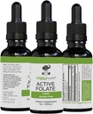 Folato activo Extracto Líquido Suplemento - L-Methylfolate for Better Absorption, Brain Health, Mejorar la función celular, Sistema de soporte, Complejo B Soluble de agua, 1oz - por Ziggy Health