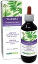 Naturalma Valerian (Valariana officinalis) Root Alcohol-Free Tintura - 6.76 fl oz Liquid Extract in Drops - Herbal Supplement - Vegan